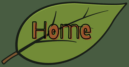 Home home button